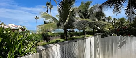 A fenced outdoor area with palm trees and a view of the ocean.