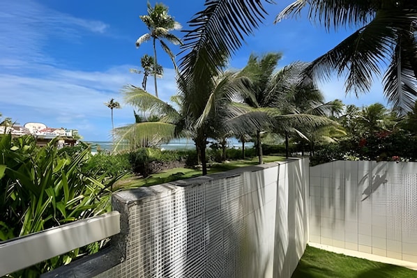 A fenced outdoor area with palm trees and a view of the ocean.