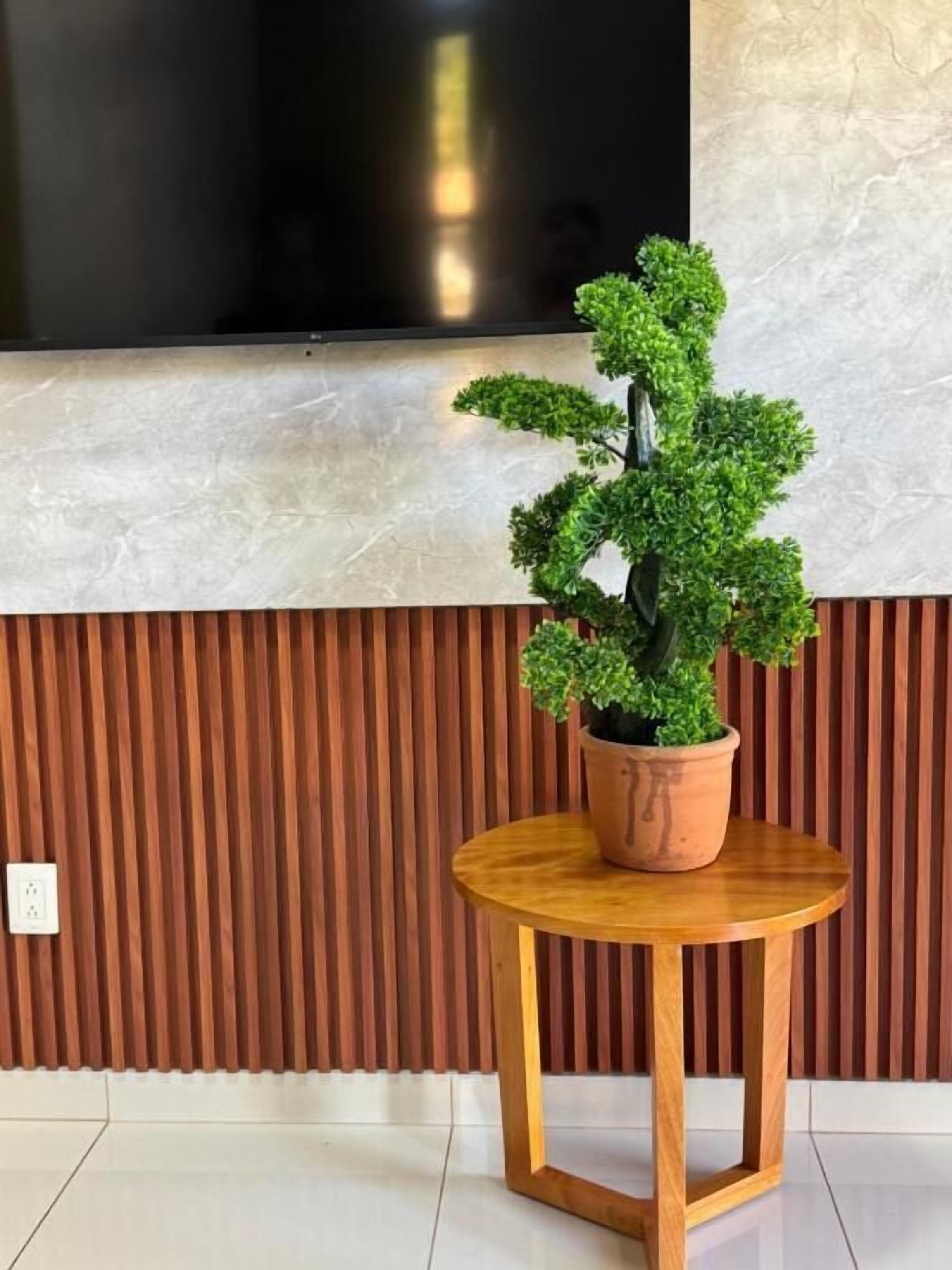 Une plante en pot est posée sur une table en bois, adossée à un mur composé de lattes de bois verticales, et un grand téléviseur à écran plat est fixé au-dessus.