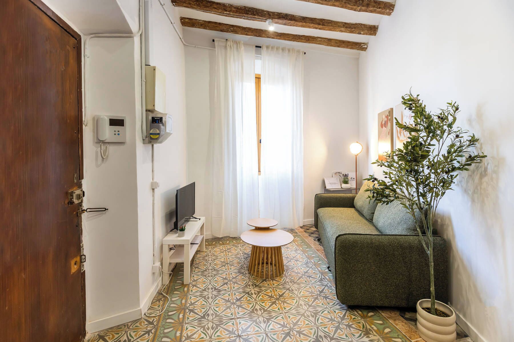 Un espace de vie compact comprenant un canapé, une petite table, un téléviseur et une plante en pot.
