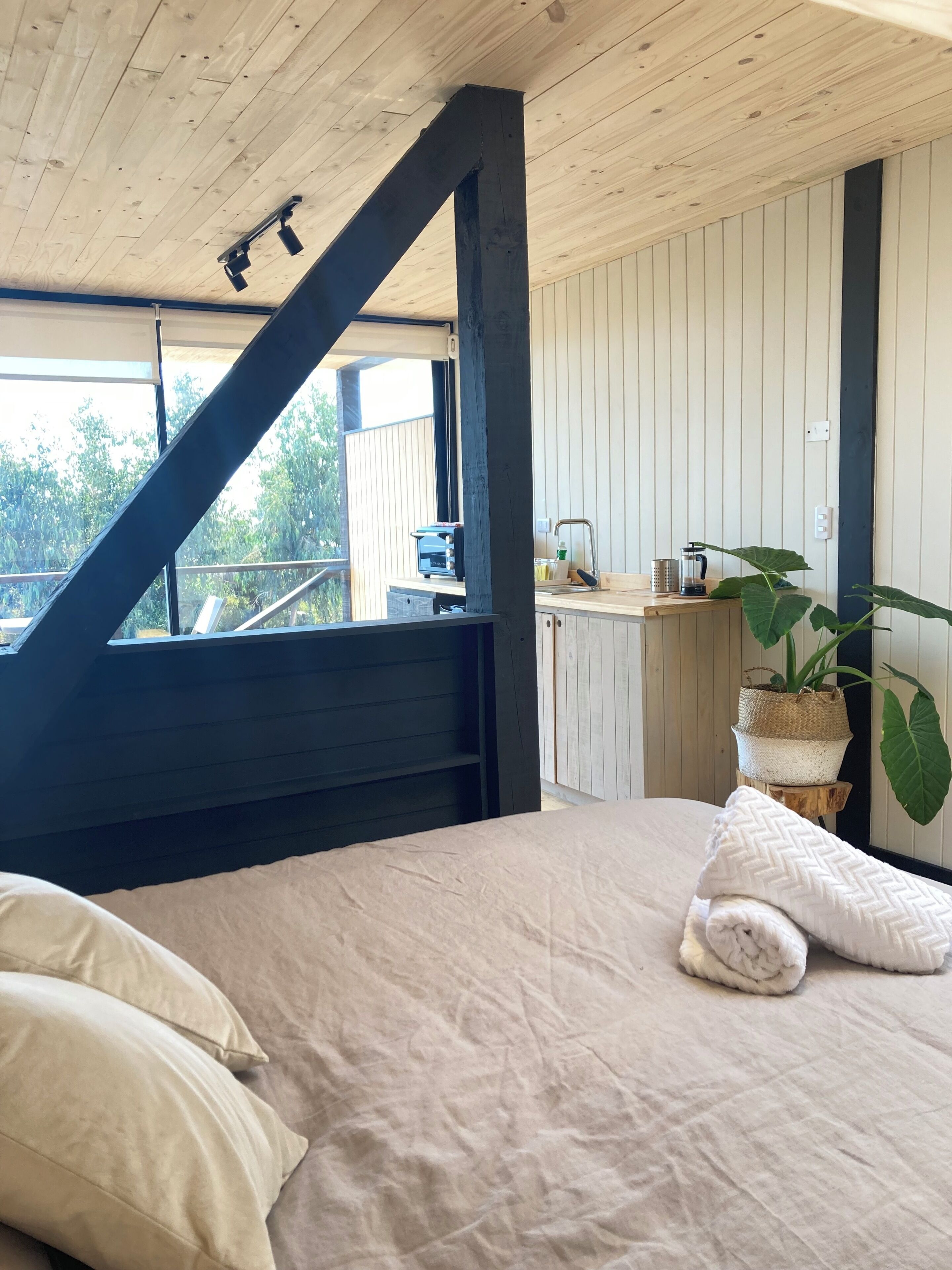 Une chambre avec un lit, des oreillers, une fenêtre, un coin cuisine et une plante en pot.