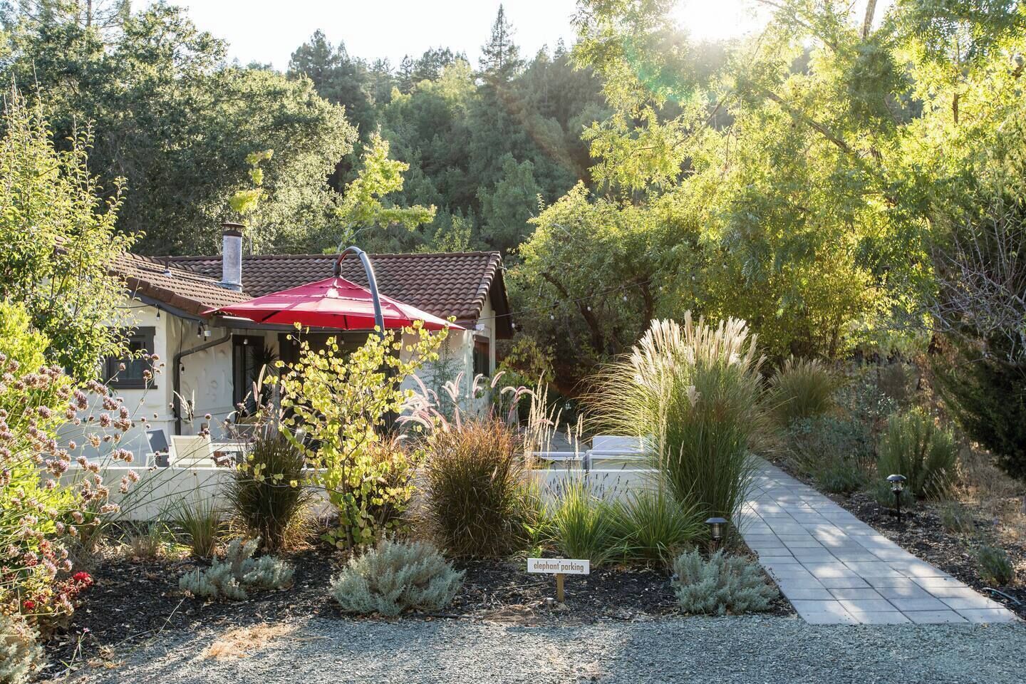 A house with a red umbrella, surrounded by a garden with various plants and a gravel path.