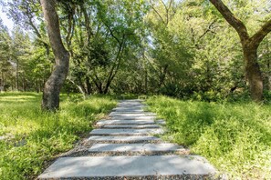 A pathway through a wooded area with trees on either side and a stone walkway.