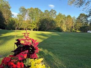 A well-maintained grassy area with a variety of plants in the foreground, surrounded by trees and a clear sky. - Charming Cozy 1-bedroom furnished apartment on 12 peaceful acres in Dorset . (Dorset)