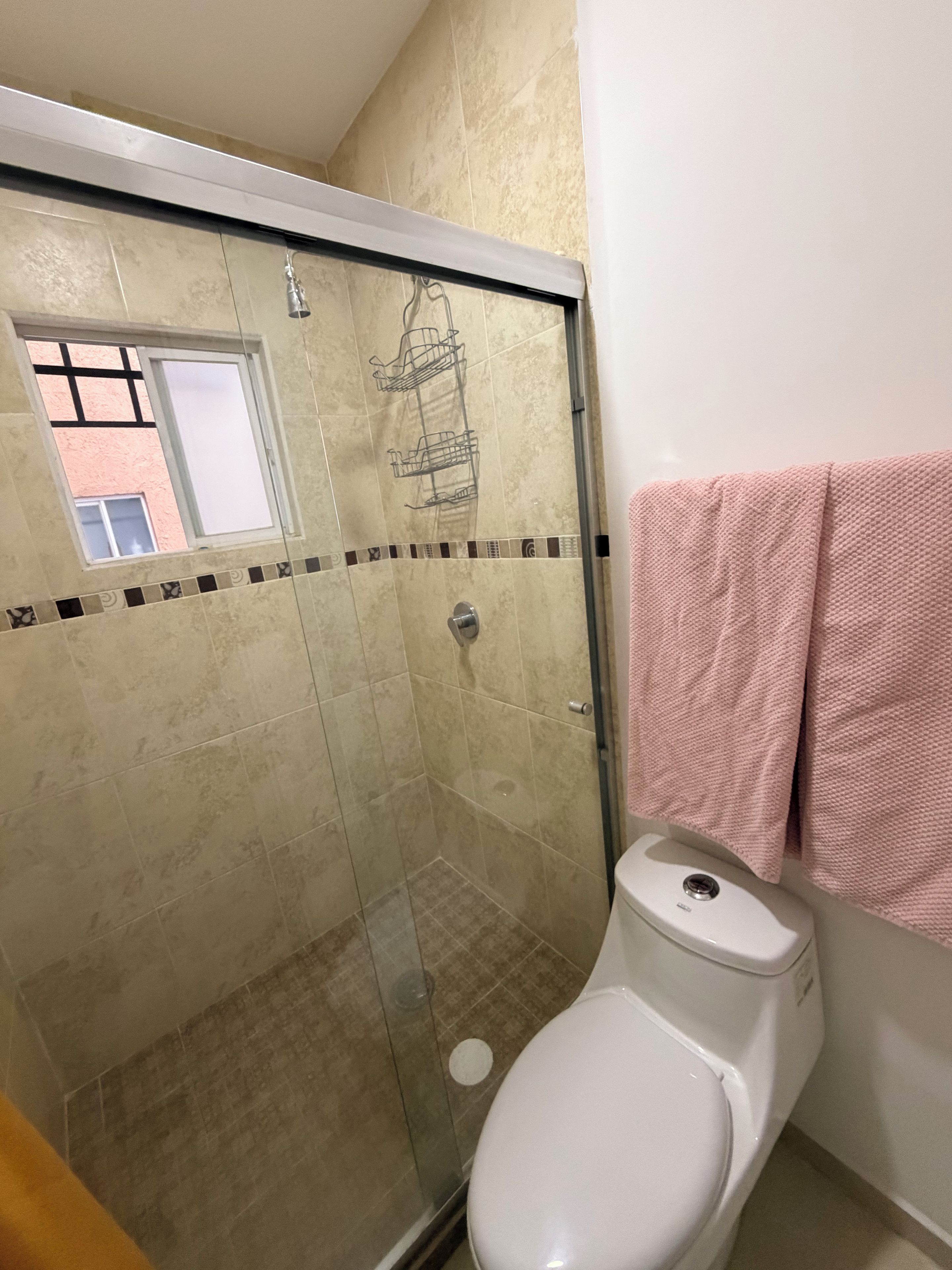 Une salle de bain avec une douche à parois de verre, des toilettes et une serviette accrochée au mur.