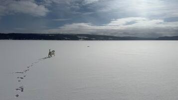 A snowy landscape with footprints leading towards a body of water, under a partly cloudy sky.
