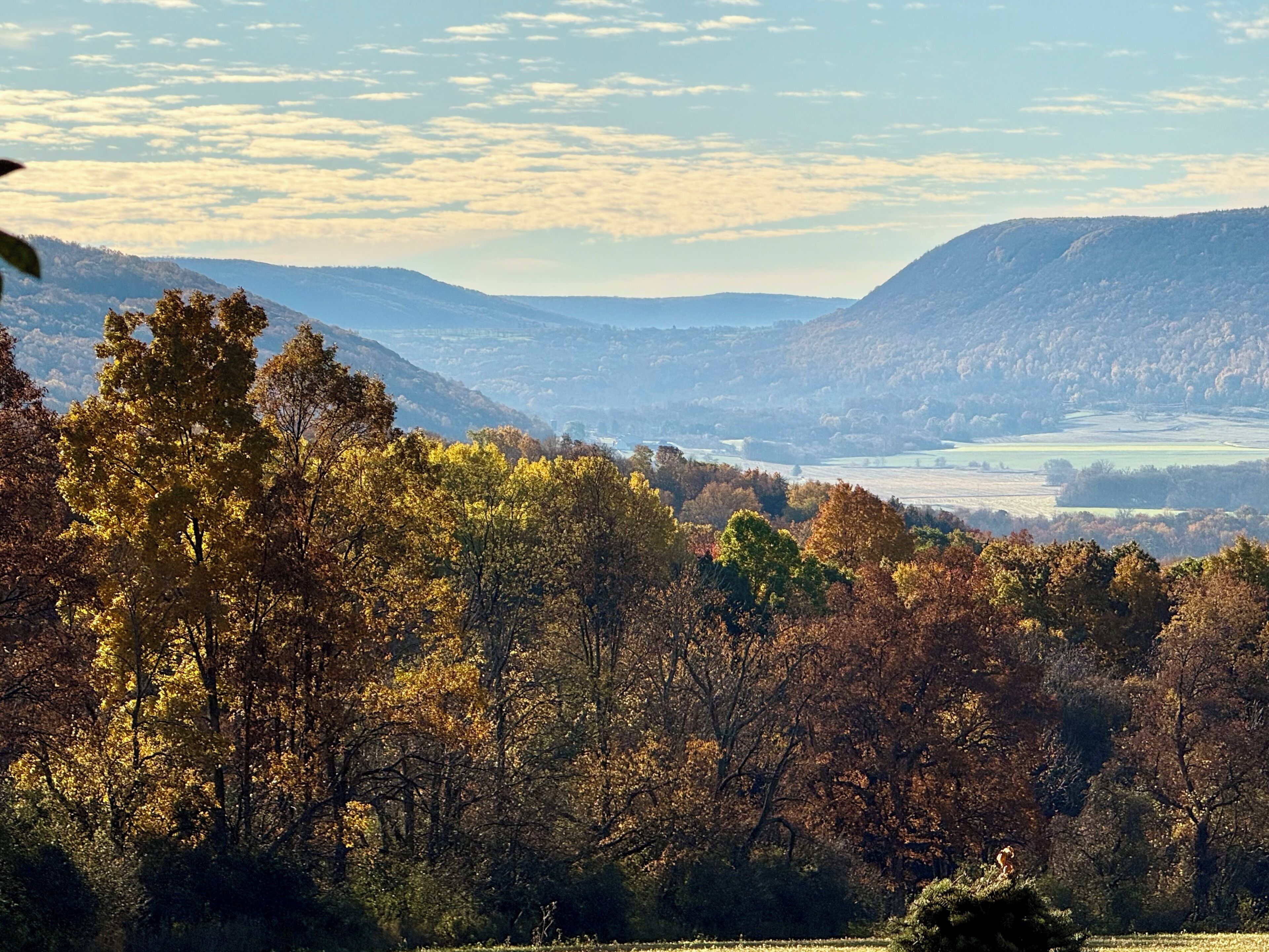 A mountainous landscape with autumn foliage.