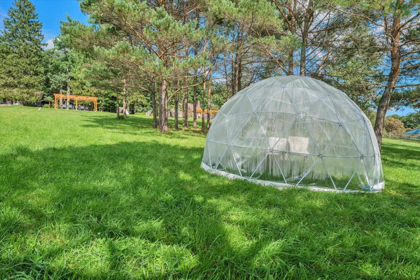 Une structure en forme de dôme transparent, située dans un champ herbeux, avec des arbres en arrière-plan.