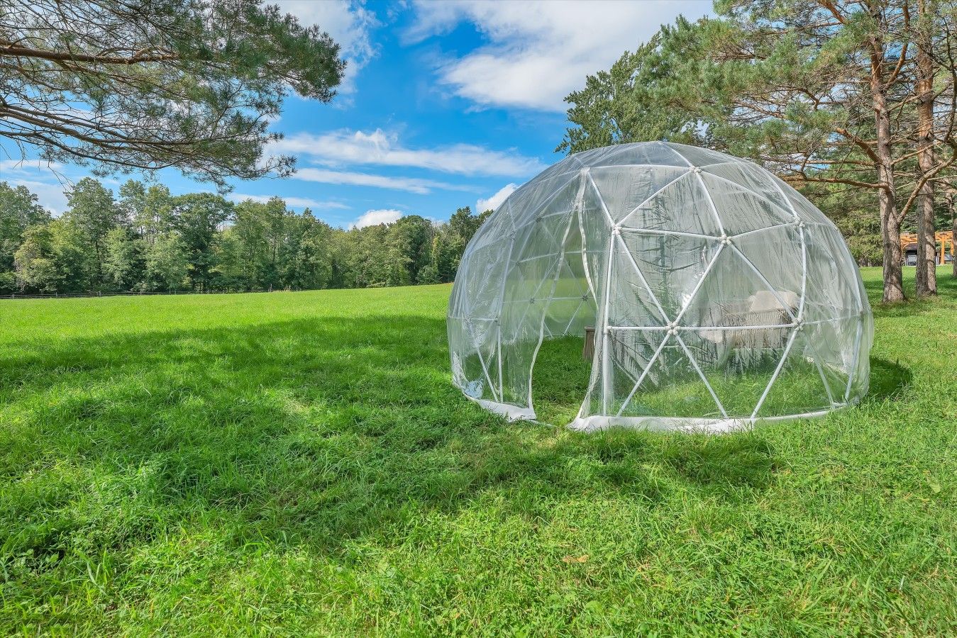 A transparent geodesic dome structure in a grassy field with trees in the background.