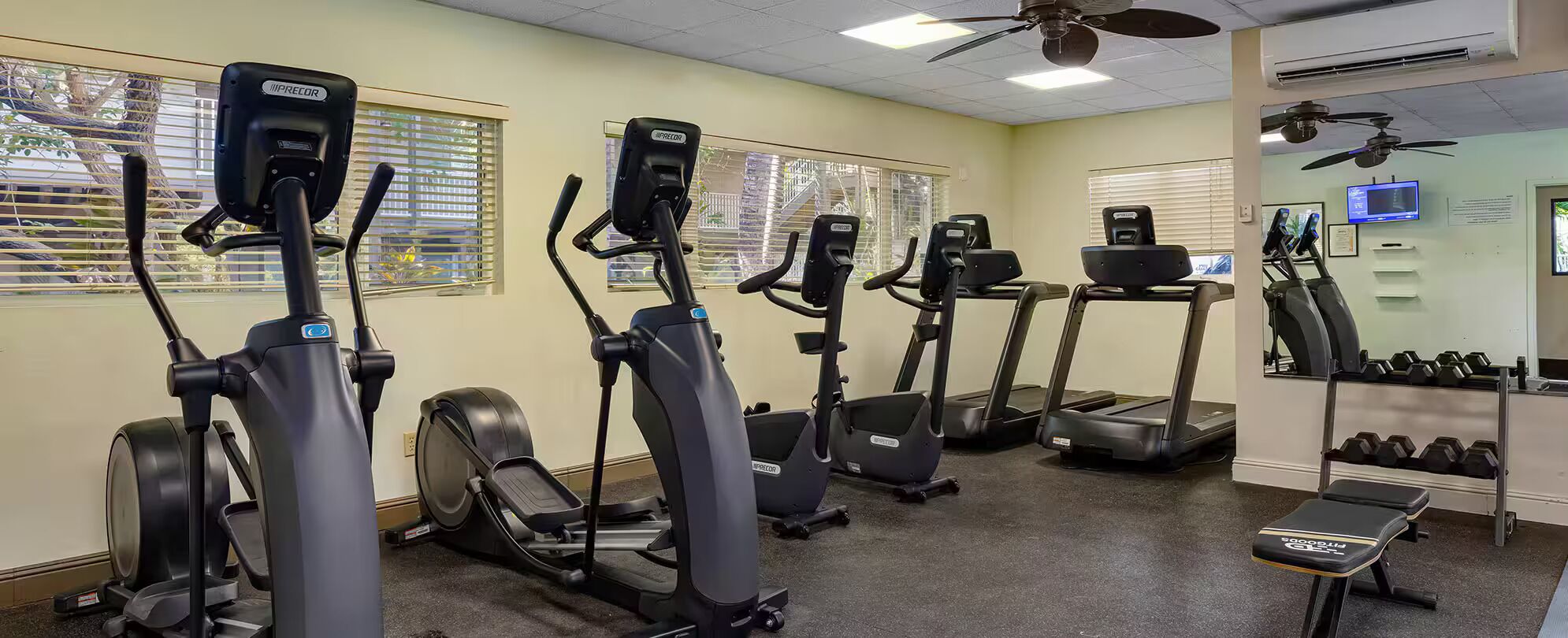 A gym with multiple exercise machines, a bench, and dumbbells.
