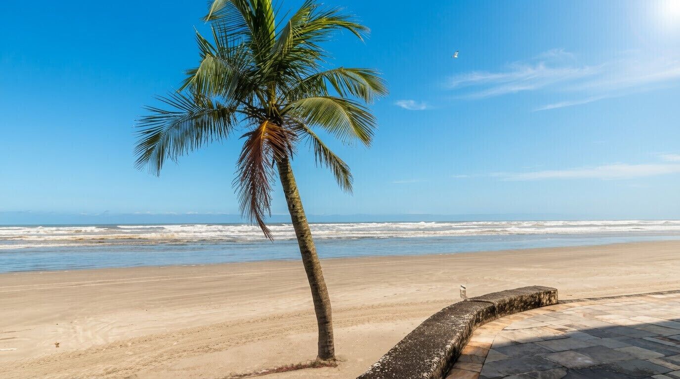 A beach with a palm tree and a stone pathway leading to the water.