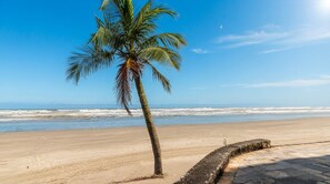 Ein Strand mit einer Palme und einem Steinweg, der zum Wasser führt.