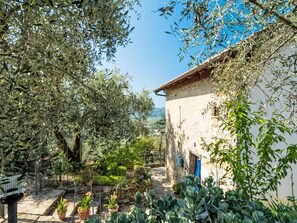 A rustic building with a stone wall and a wooden door, surrounded by olive trees and potted plants. - Viletta Ulivo by Interhome (Diano Marina)