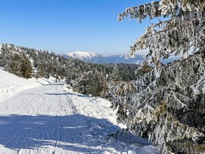 A snowy mountain landscape with a clear sky, a ski trail, and evergreen trees. - Rebelka 1 by Interhome (Horni Misecky)
