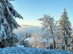 A snowy landscape with trees and a building. - Rebelka 1 by Interhome (Horni Misecky)