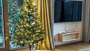 A cozy living room with a Christmas tree, a flat-screen TV, and a wooden floor. - Rebelka by Interhome (Horni Misecky)