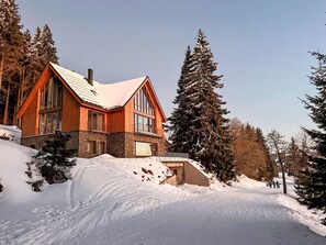 A large wooden lodge with a steep roof, surrounded by snow-covered trees and a clear sky. - Rebelka 1 by Interhome (Horni Misecky)