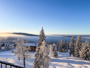 Un paysage enneigé, avec un ciel dégagé, une forêt d’arbres recouverts de neige et un bâtiment doté d’un toit en pente.