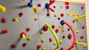 A climbing wall with various holds and a rope. - Rebelka by Interhome (Horni Misecky)