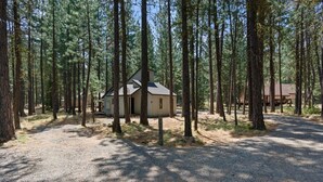 Een chalet omgeven door hoge dennen in een bebost gebied.