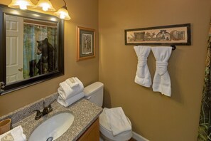 Bathroom - Amazing Grace II Vacation Home (Pigeon Forge)