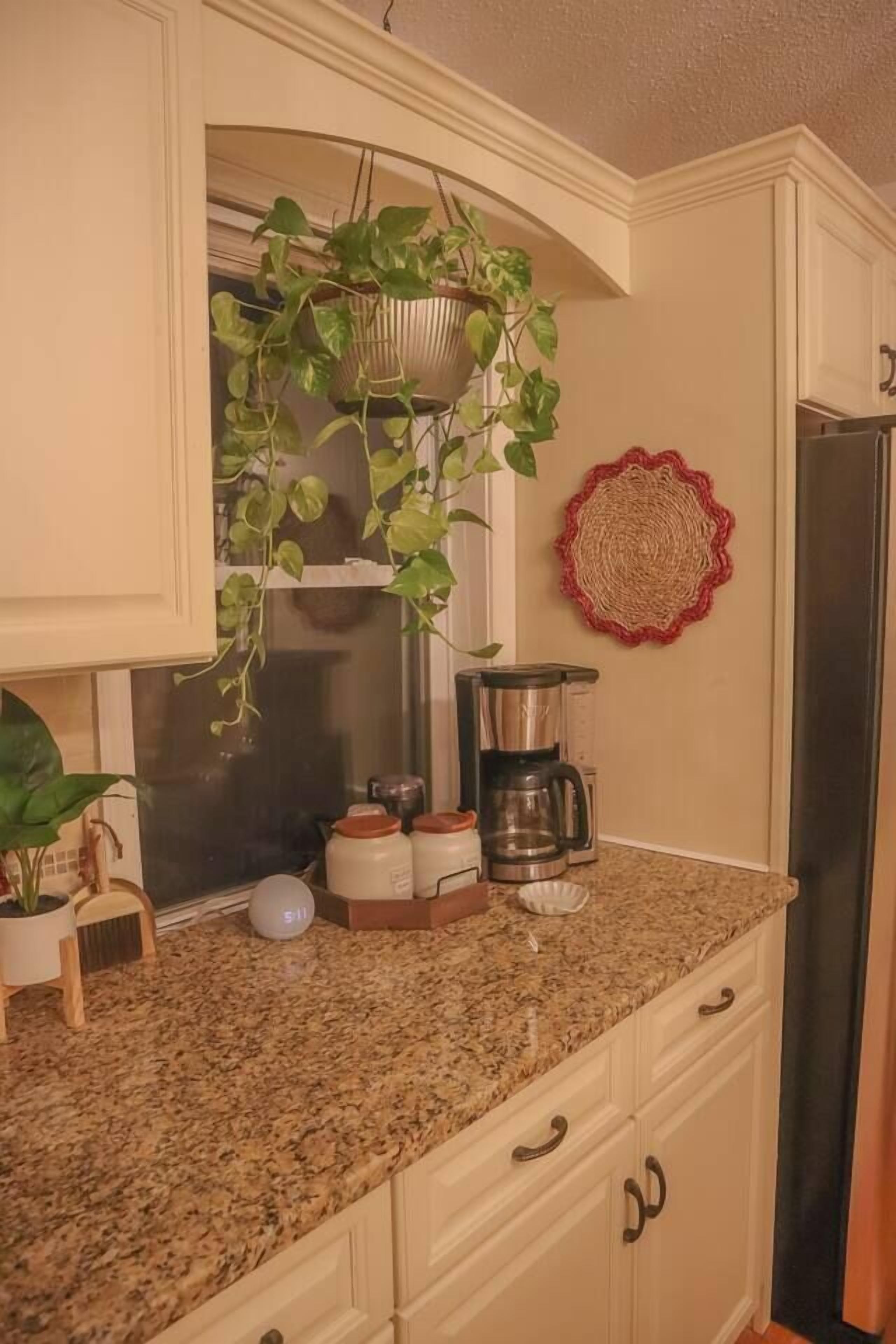 Una cocina con encimera de granito, cafetera, planta colgante y un adorno de pared.