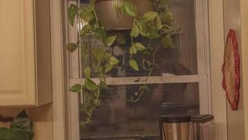 Et køkken med en hængende plante, en kaffemaskine og et ur på disken.