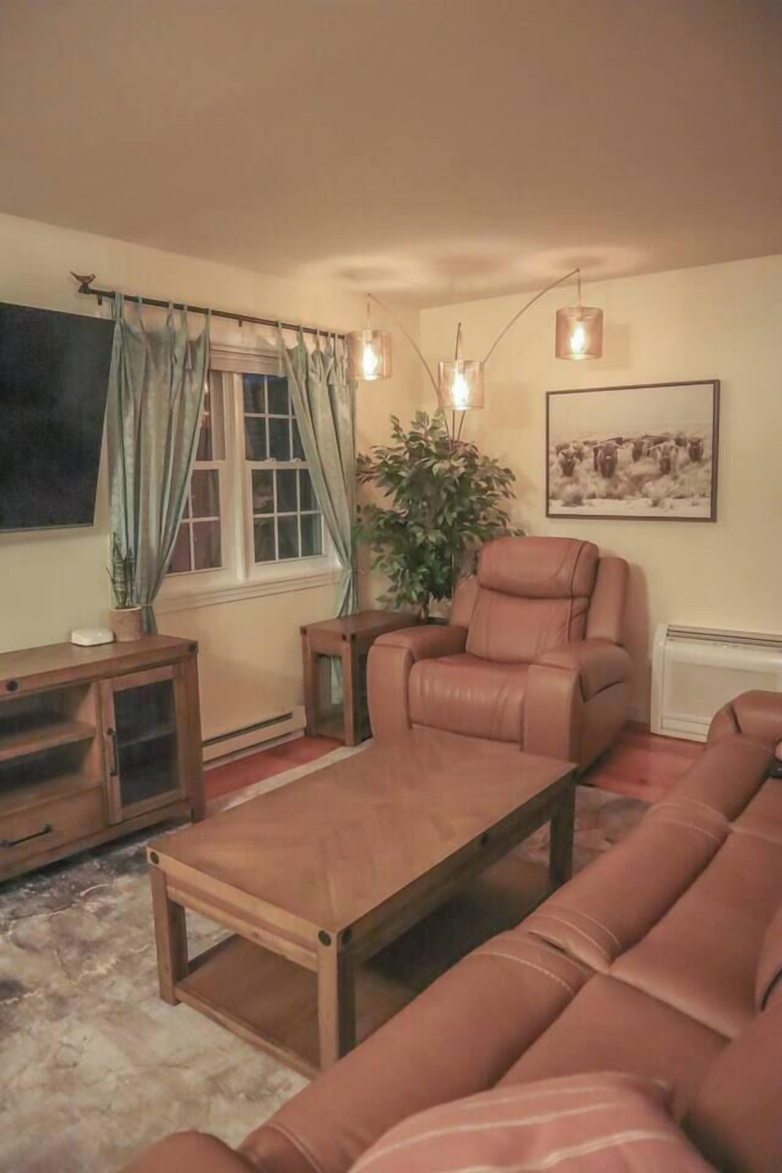 A living room with a sofa, a coffee table, a leather armchair, a side table, a potted plant, a framed picture on the wall, and a window with curtains.