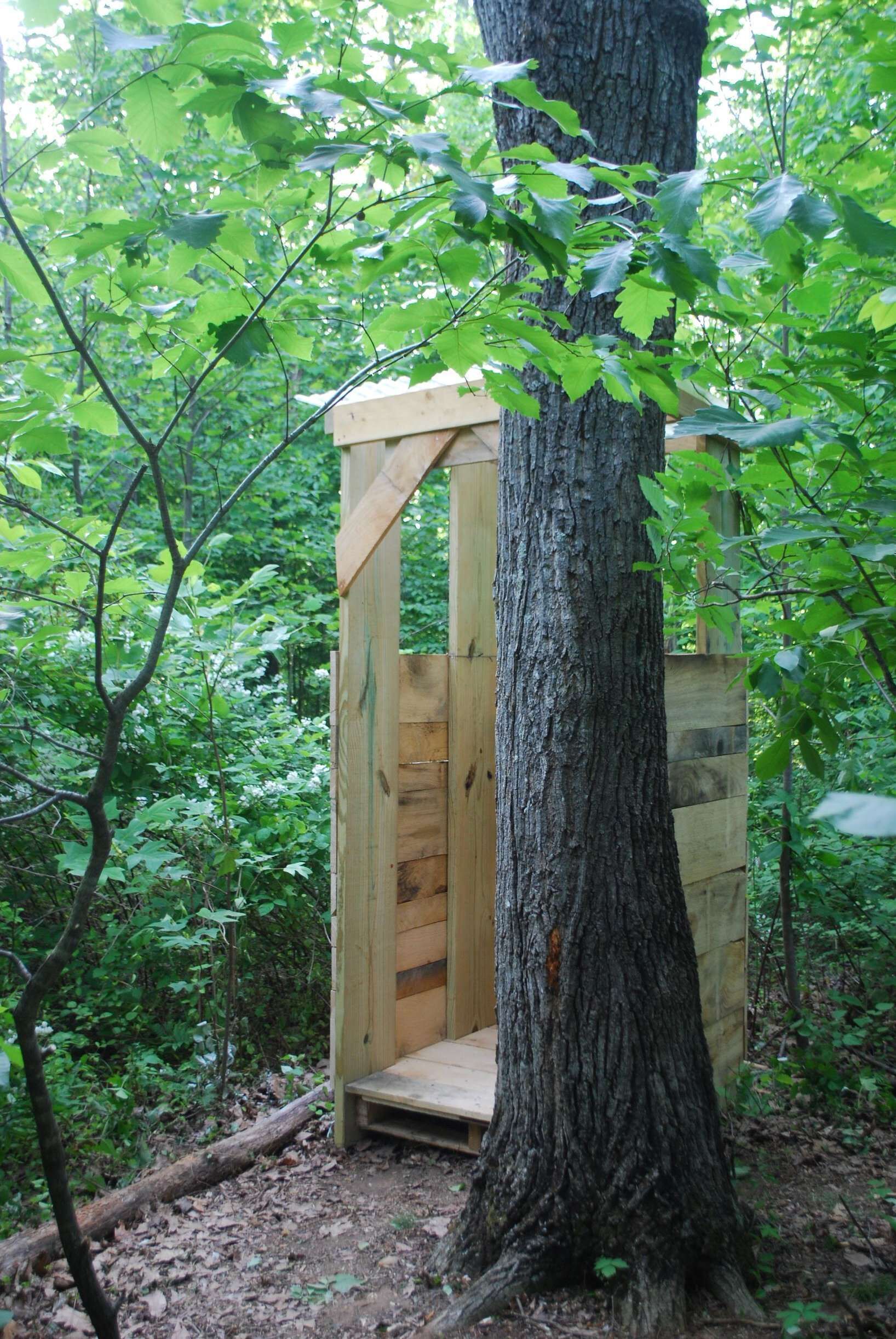 A wooden treehouse structure with a platform and a small entrance, surrounded by dense green foliage.