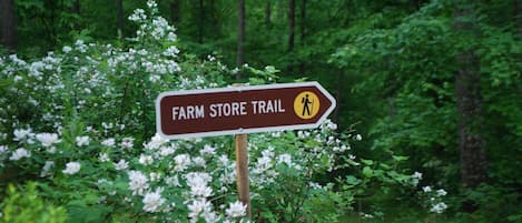A directional sign for the Farm Store Trail in a forested area.
