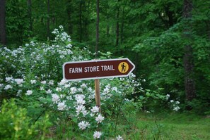A directional sign for the Farm Store Trail in a forested area.