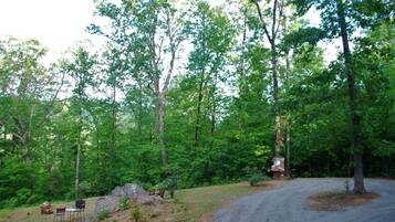 A forested area with a dirt road, a picnic table, and a bench.