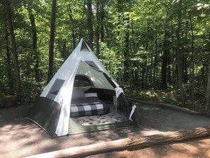 Property grounds - Butterfly Camp near Old Rag Mountain and Shenandoah National Park (Etlan)