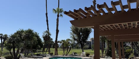 A swimming pool with lounge chairs and palm trees.