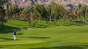 A golf course with a well-maintained green, sand bunkers, and trees.