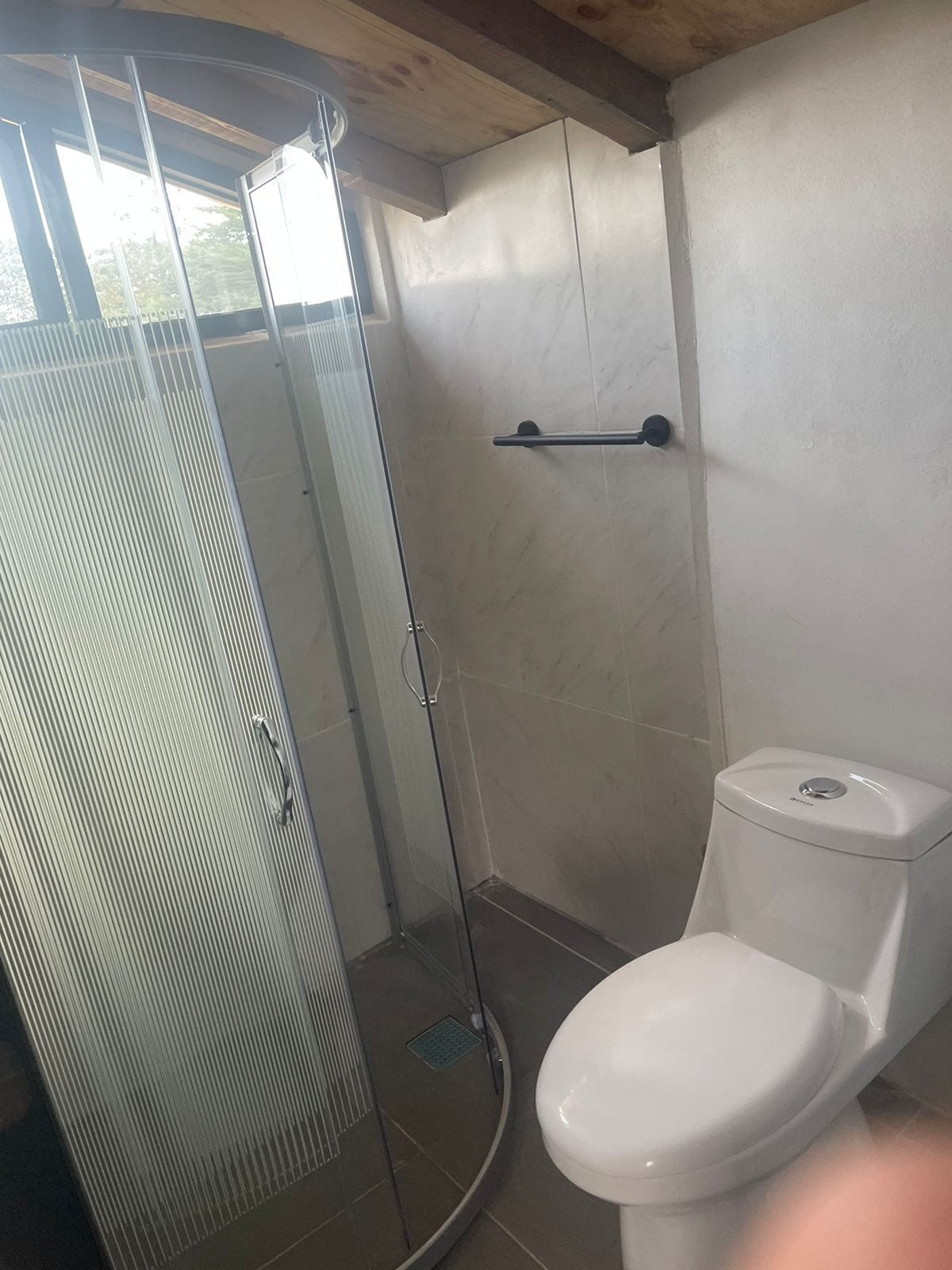 A bathroom with a glass shower enclosure, a white toilet, and a towel rack.