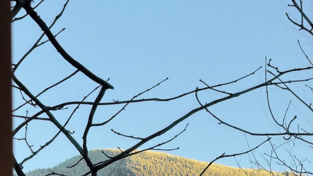 Unclassified image, 1 of 14, button - Treehouse Cabin Creek & Mountain Views (Burnsville)