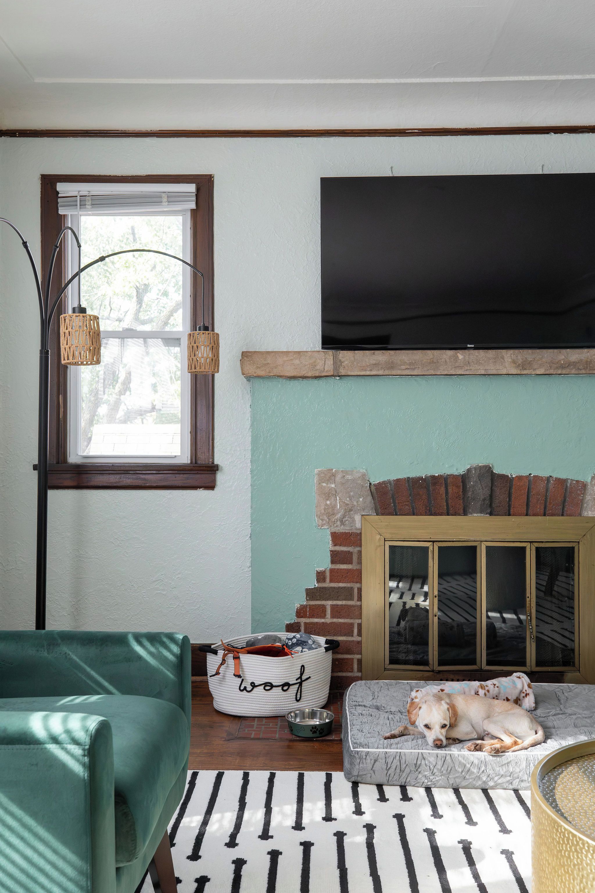 Un salon avec un téléviseur, un panier pour chien, une lampe en osier et un canapé vert.