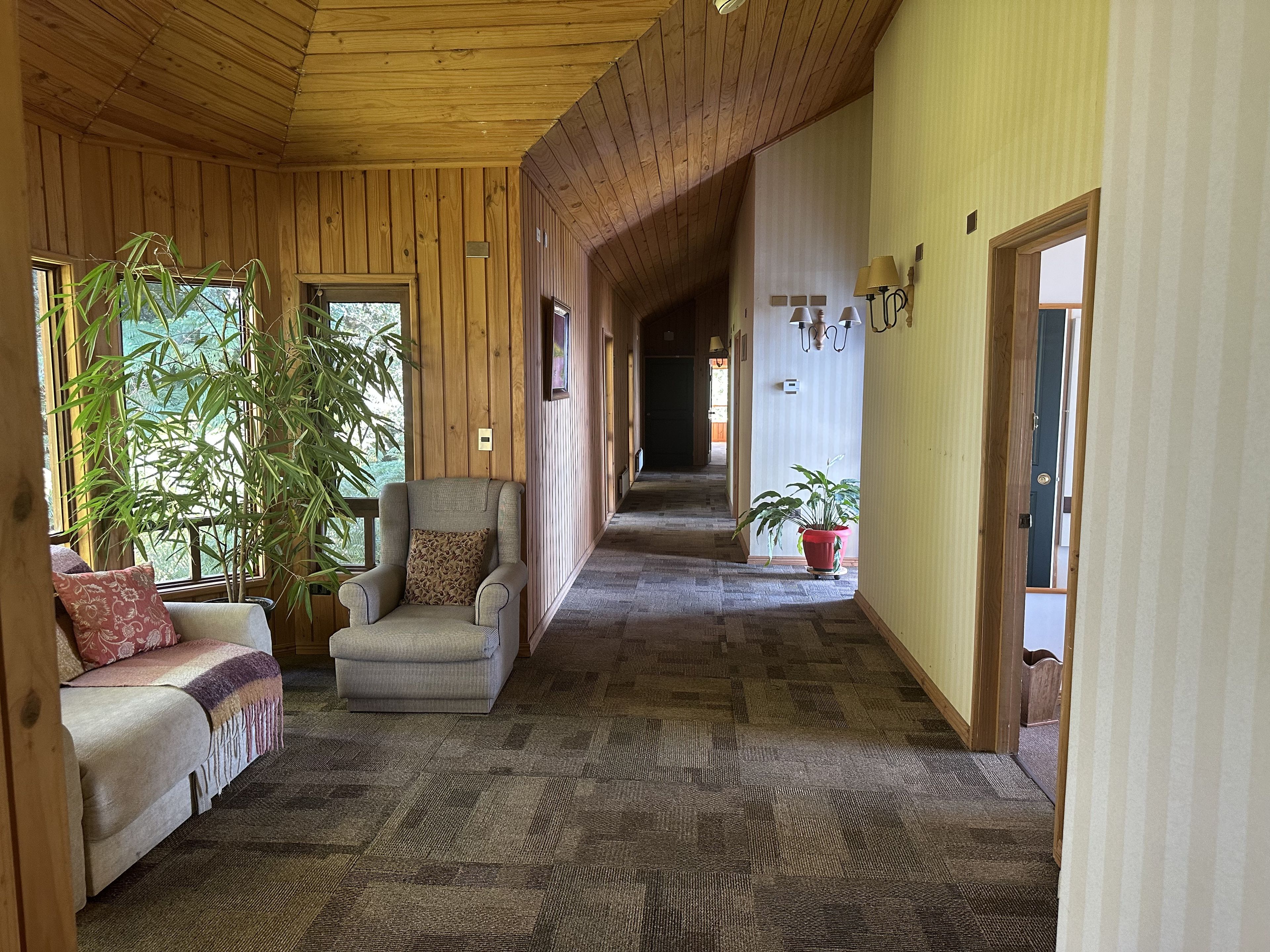 A wooden interior with a sofa, armchair, and potted plants.