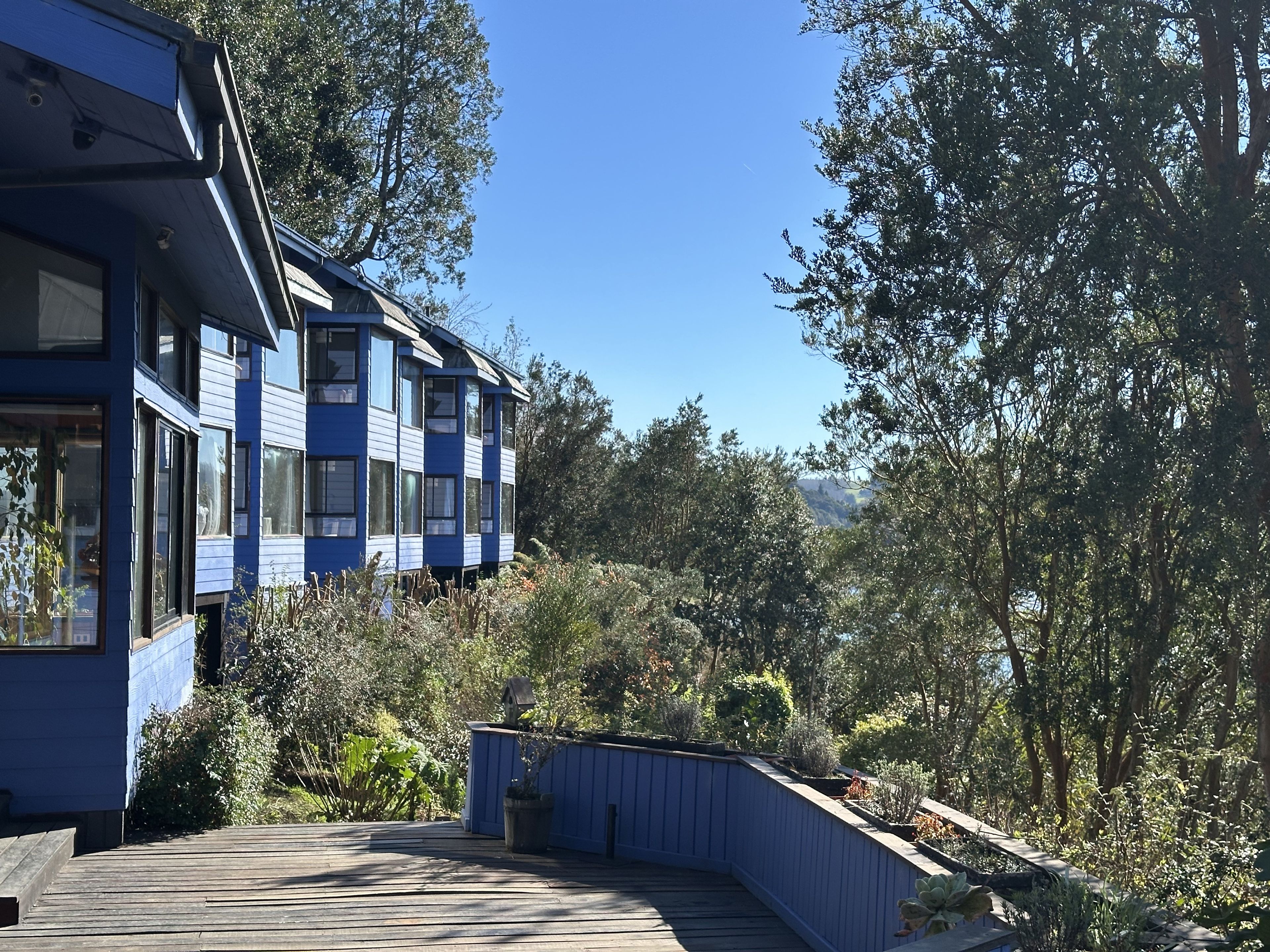 Un edificio moderno azul con numerosas ventanas, rodeado de abundante vegetación y un cielo despejado.