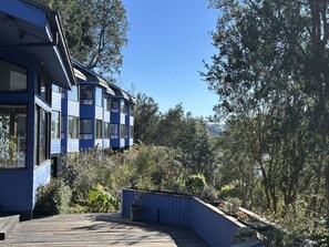 A modern blue building with multiple windows, surrounded by dense greenery and a clear sky.