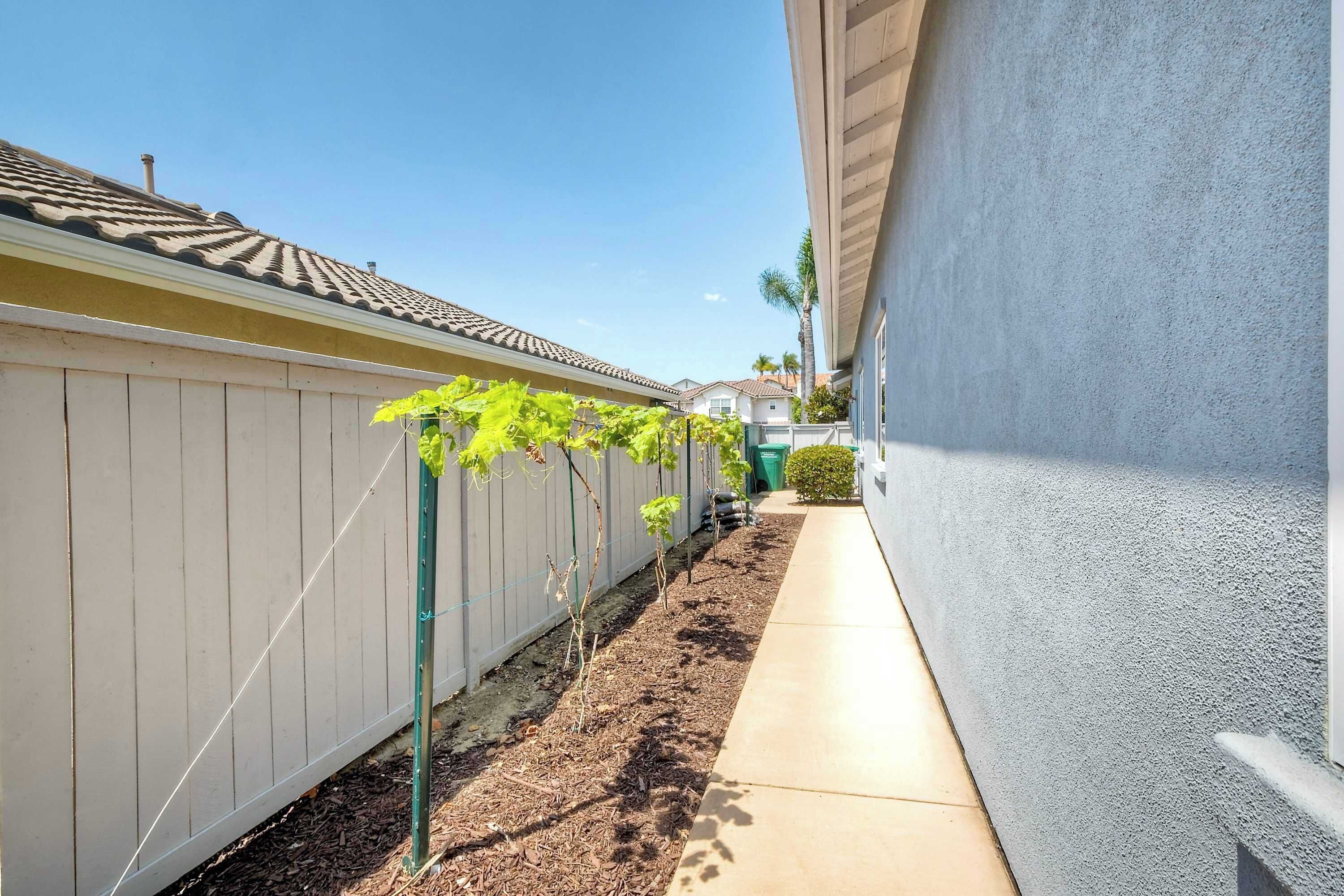 A narrow pathway flanked by a wooden fence and a building with a tiled roof.