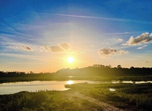 A sunset over a calm body of water with a path leading through a grassy area. - Ocala National Forest-Pet friendly-Casa Kambo (Fort Mccoy)
