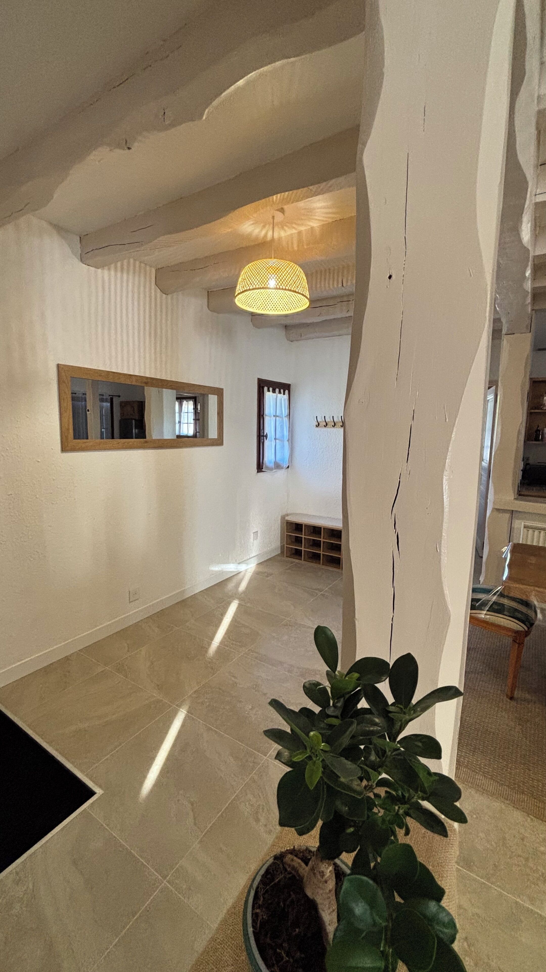 A spacious room with a large potted plant, a hanging light fixture, and a bench.