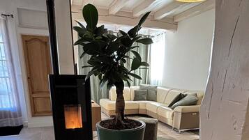 Ett vardagsrum med en tegelbeklädd öppen spis, en krukväxt, en soffa och en hängande lampa.