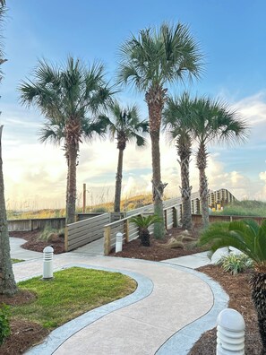 A pathway leading through a landscaped area with palm trees and a wooden fence. - Modern 1BR Beachfront Condo & Beautiful Courtyard Pool - D43 Orange Beach AL (Orange Beach)