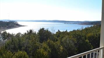 A view from a balcony overlooking a body of water with dense forest in the foreground.