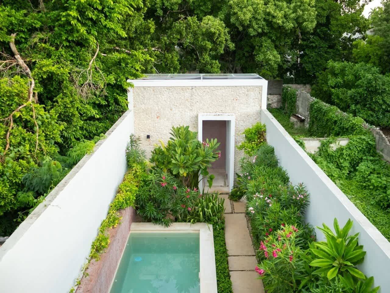 Un jardín en la azotea con piscina, rodeado de exuberante vegetación y una pequeña construcción.