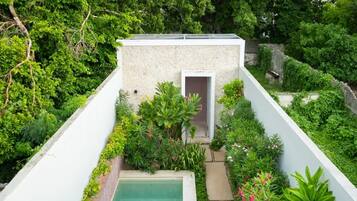 Un jardín en la azotea con piscina, rodeado de exuberante vegetación y una pequeña construcción.