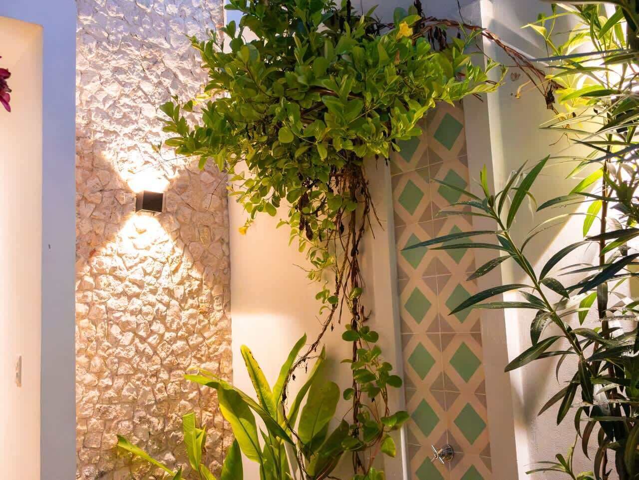 Un muro de piedra con una planta trepadora, un diseño decorativo en la pared y una planta en maceta.